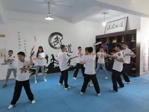 咏春拳基础入门免费视频课程