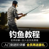 钓鱼免费视频课程